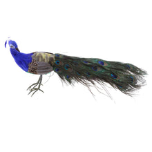 Load image into Gallery viewer, Artificial Peacock Bird Realistic Taxidermy
