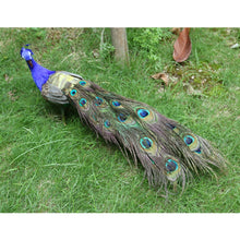 Load image into Gallery viewer, Artificial Peacock Bird Realistic Taxidermy
