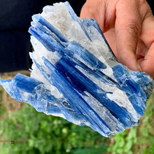 Load image into Gallery viewer, Natural Kyanite Rough Gem Stone
